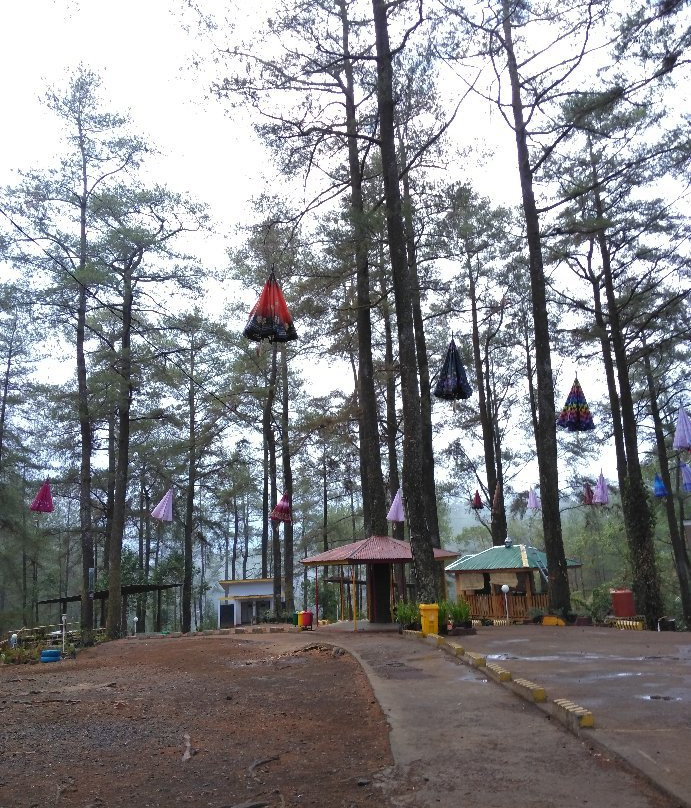 Malino Pine Forest-Malino必去景点