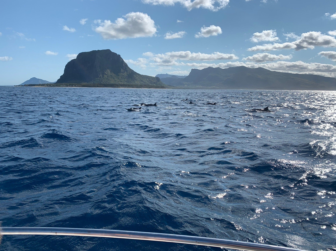 Lifestyle Boating Mauritius-贝尔欧布莱必去景点
