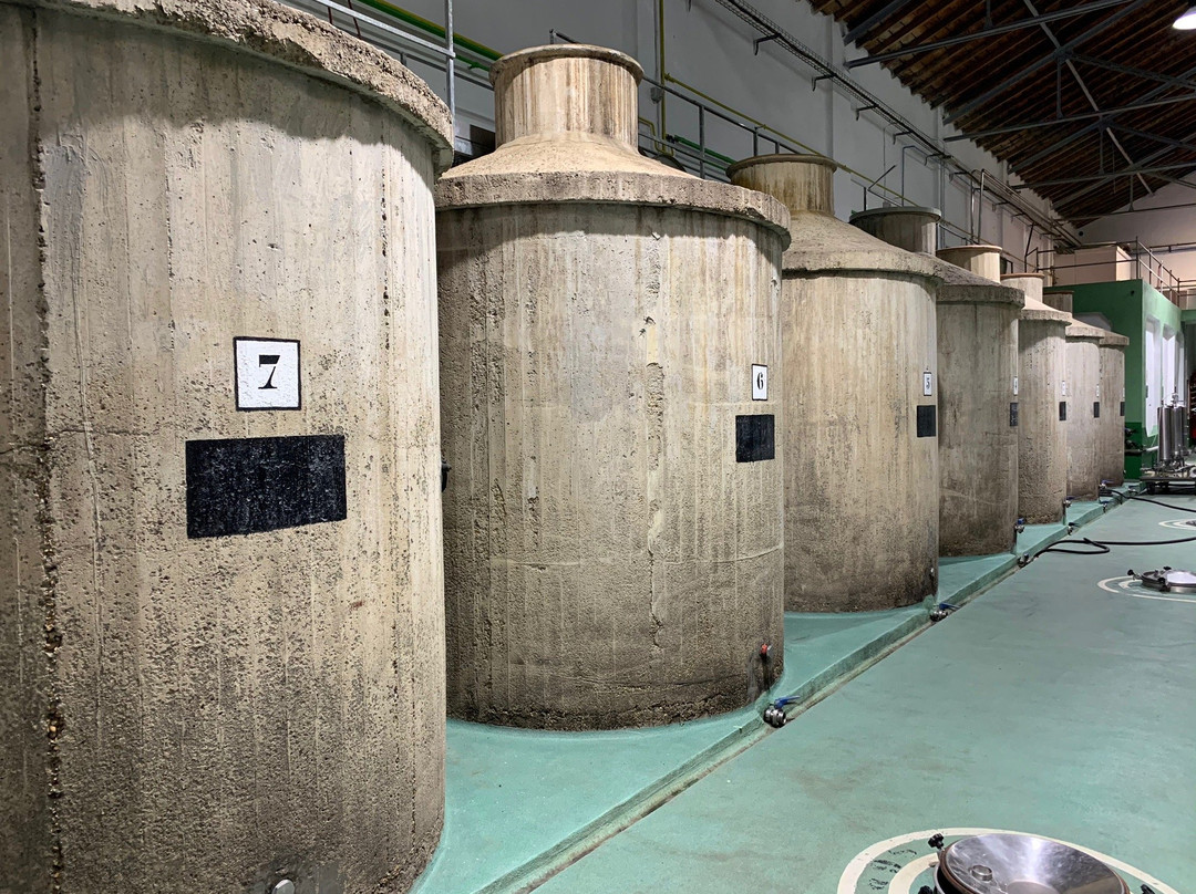 Bodega Cuatro Rayas景点图片