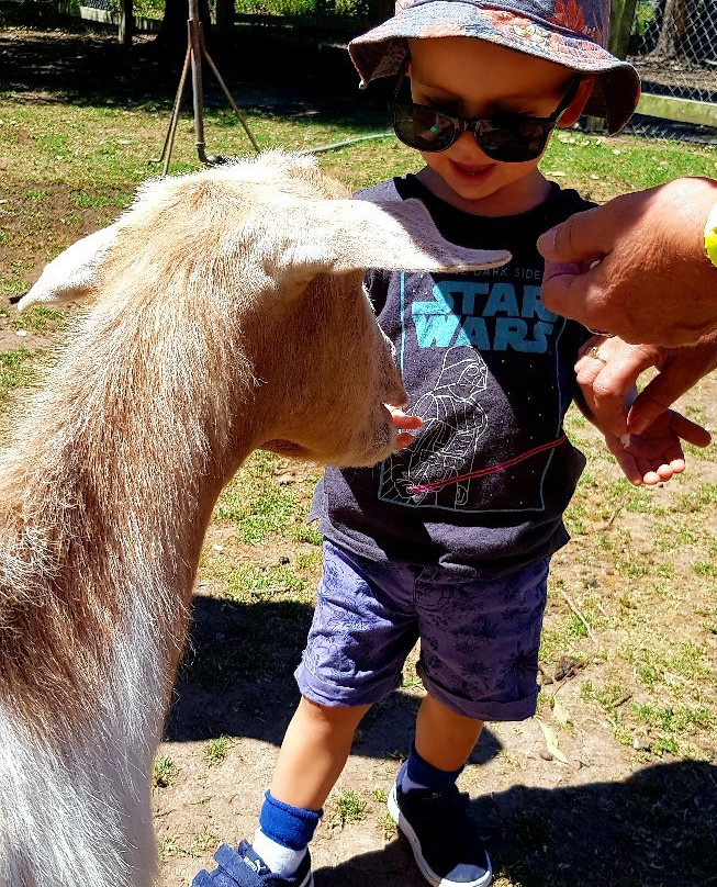 Amazement Farm & Fun Park景点图片