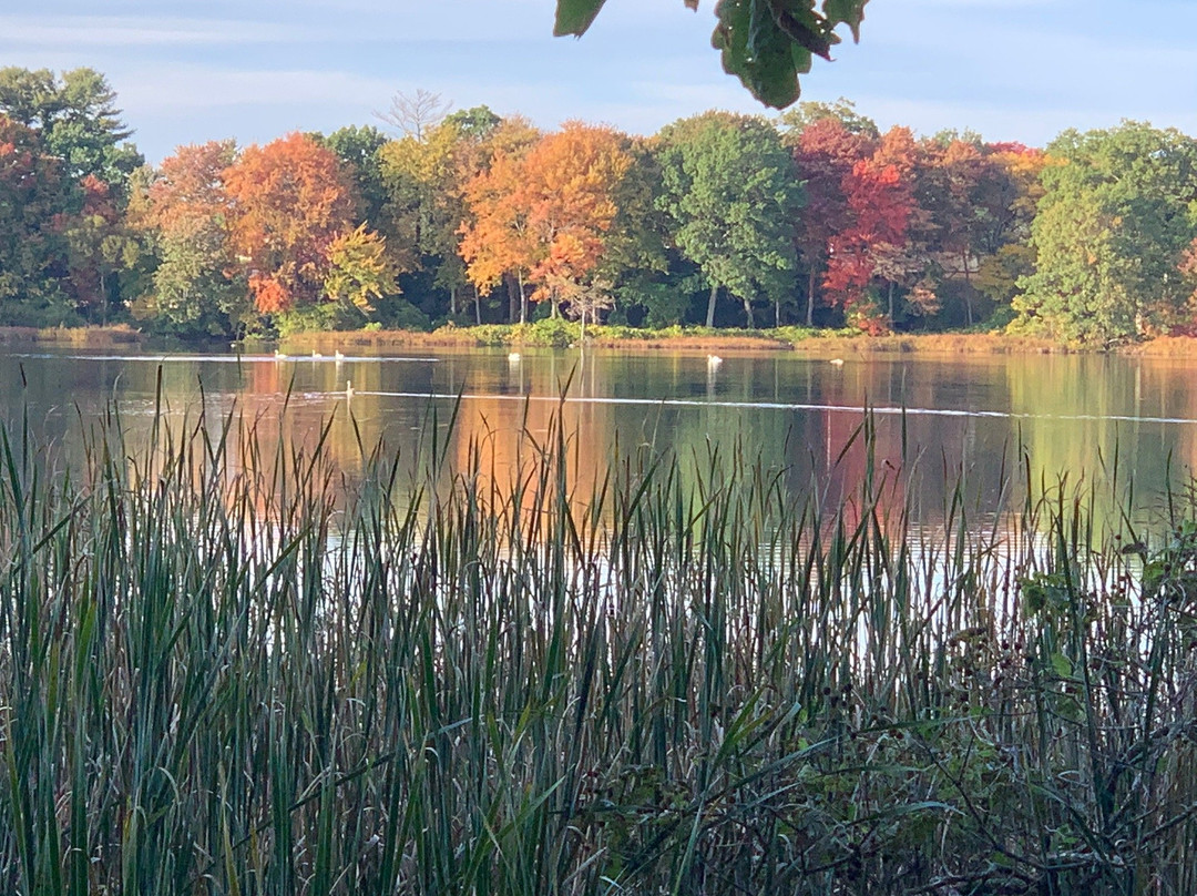 Cutler Park-尼达姆必去景点