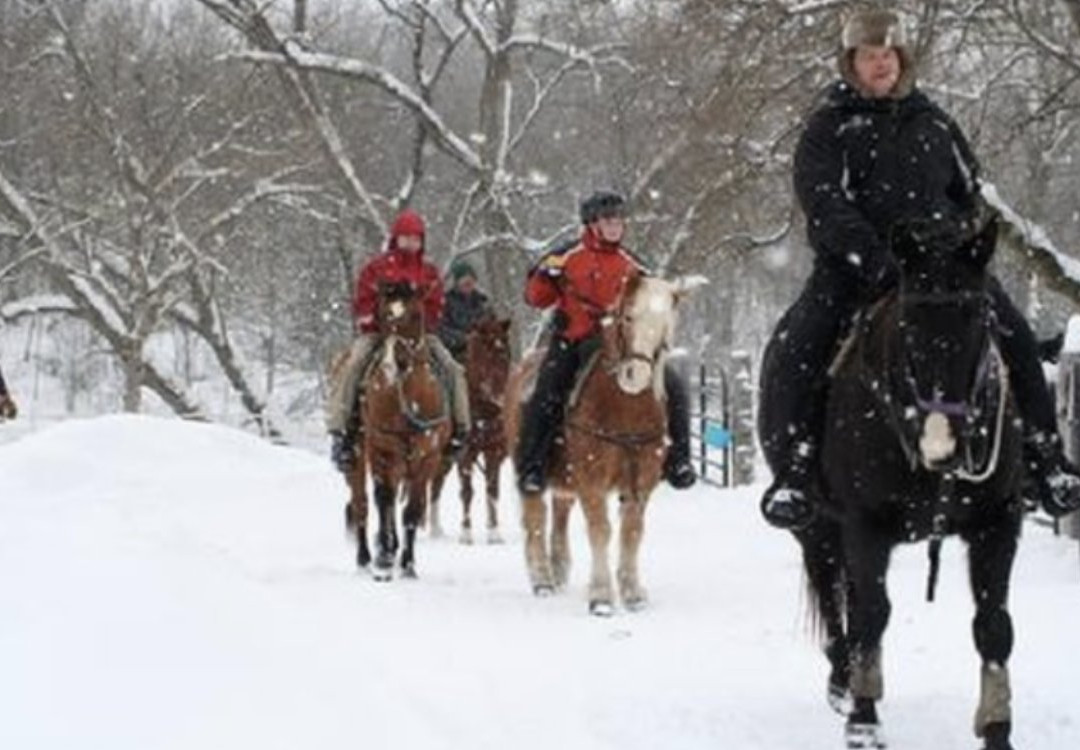 Dba Nativity Riding Academy景点图片