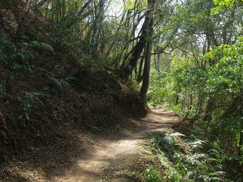 Parque Nacional Baritú-萨尔塔必去景点