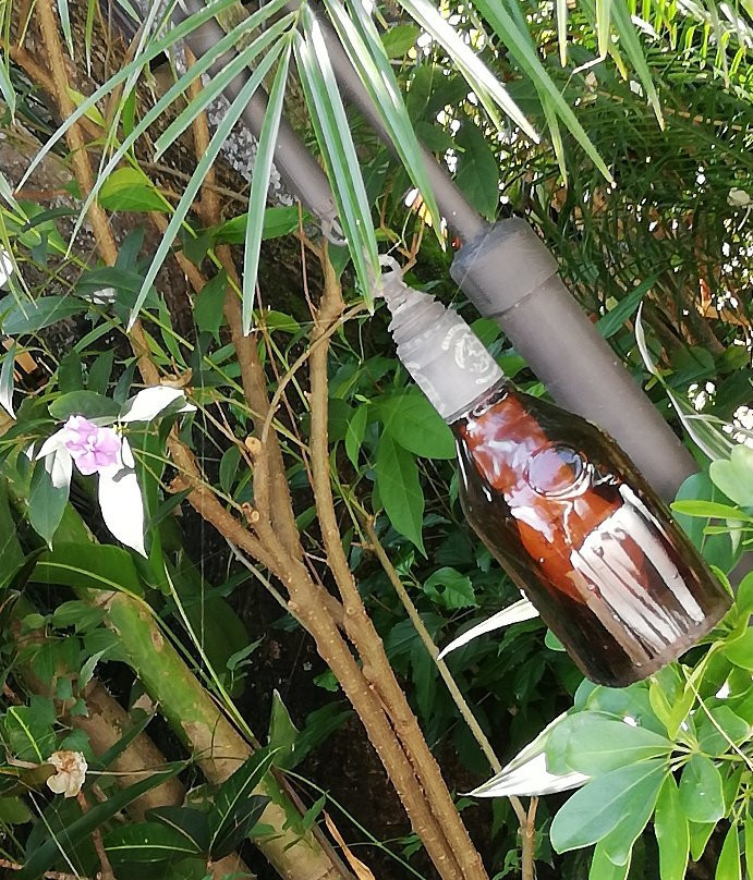 Costa Verde Inn主图