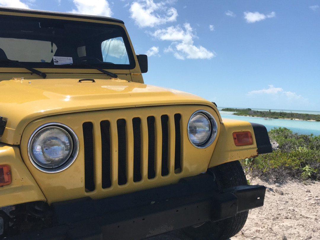 Harbour Adventures-South Caicos必去景点