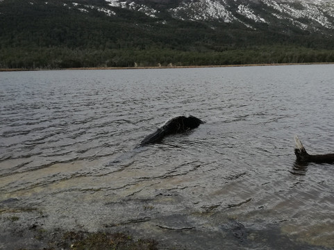 Tierra del Fuego Aventura-乌斯怀亚必去景点