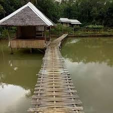 Penginapan Cibeber