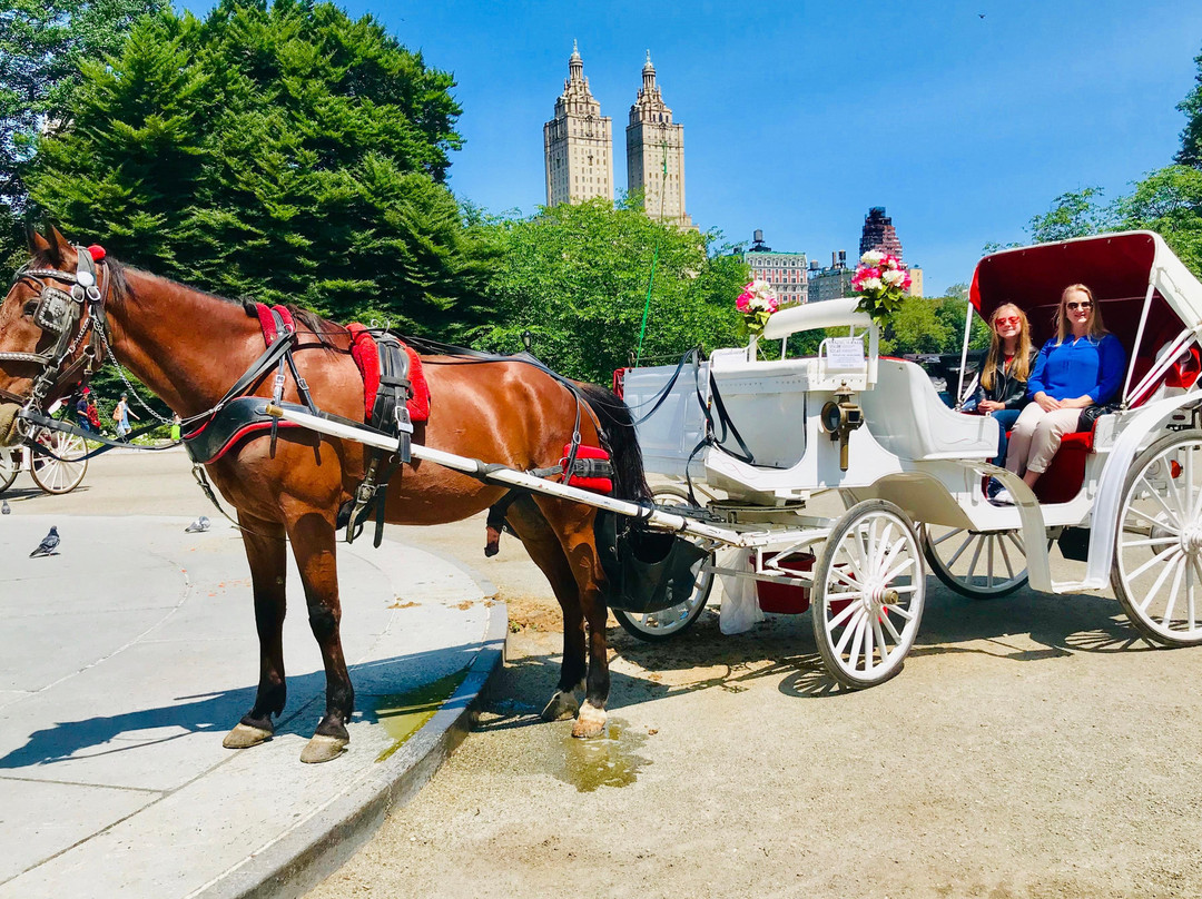 VIP Central Park tours