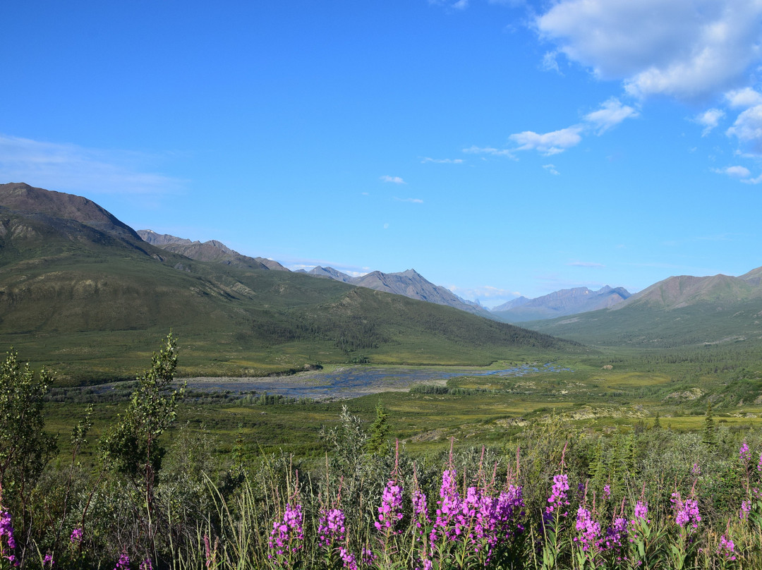 Yukon旅游景点-Tombstone Territorial Park