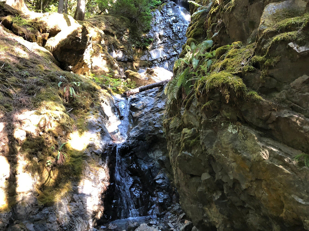 Lupin Falls Trail景点图片