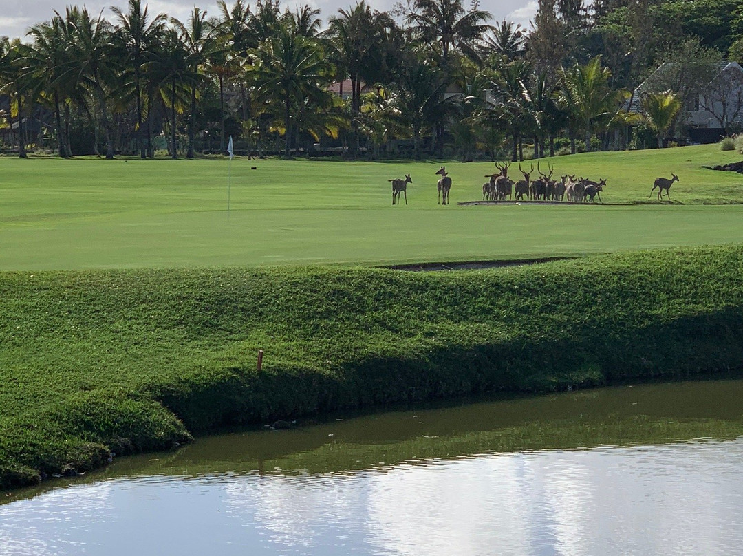 Legend Golf Course-波特弗拉克必去景点