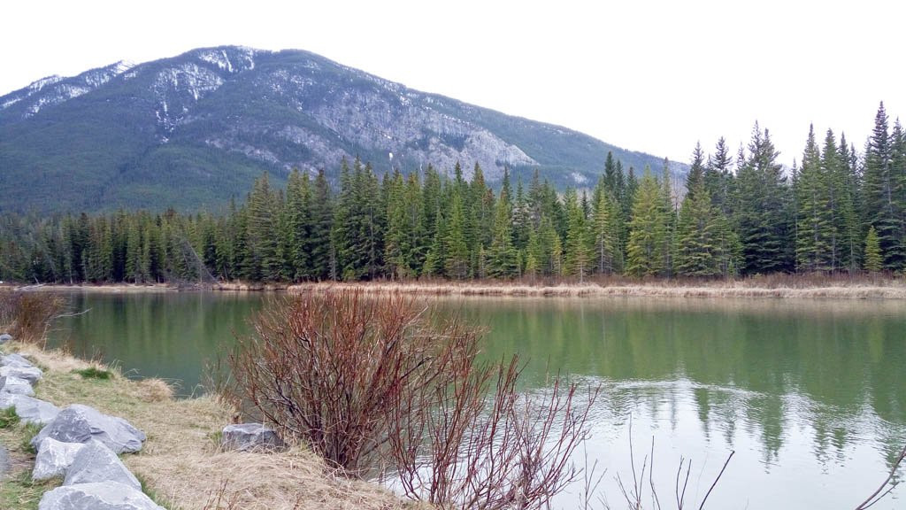 Bow River Trail