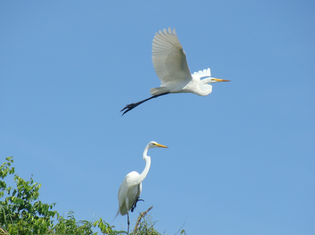 Isla Pajaros-尤卡坦半岛必去景点