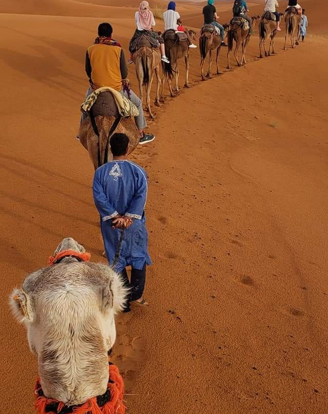 Toubkal Explore-马拉喀什必去景点