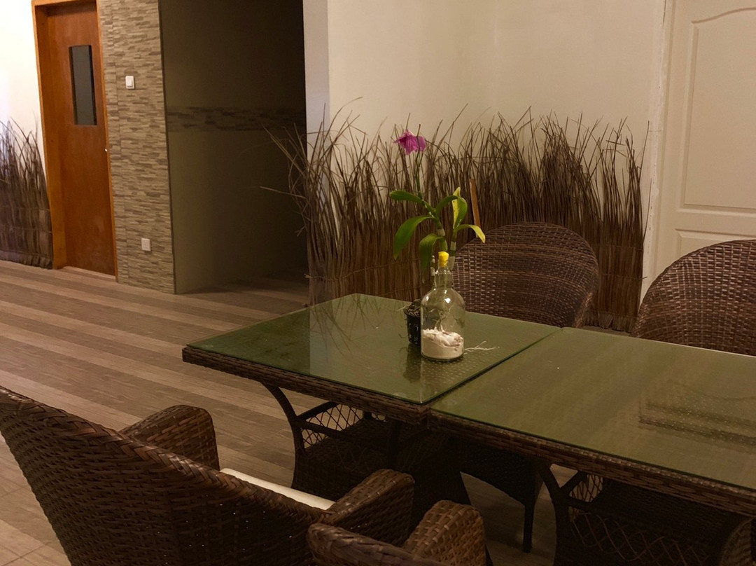 White Tern Maldives主图