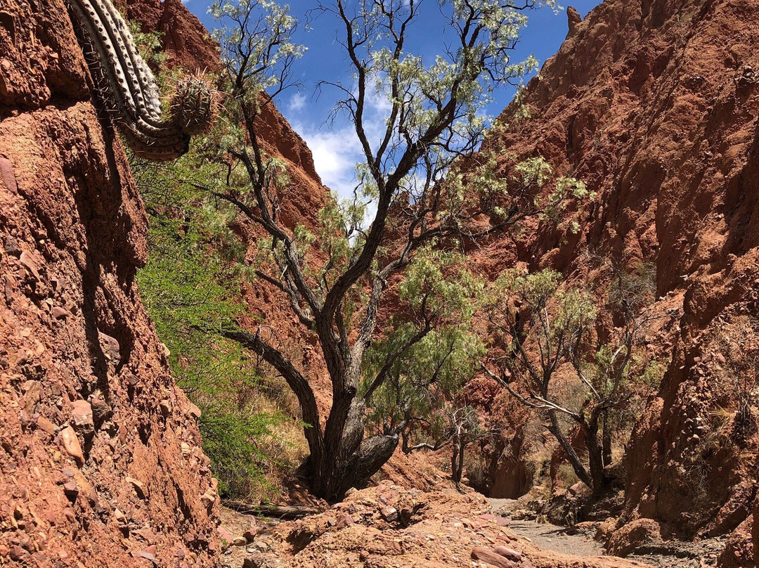 Canon del Inca-Tupiza必去景点