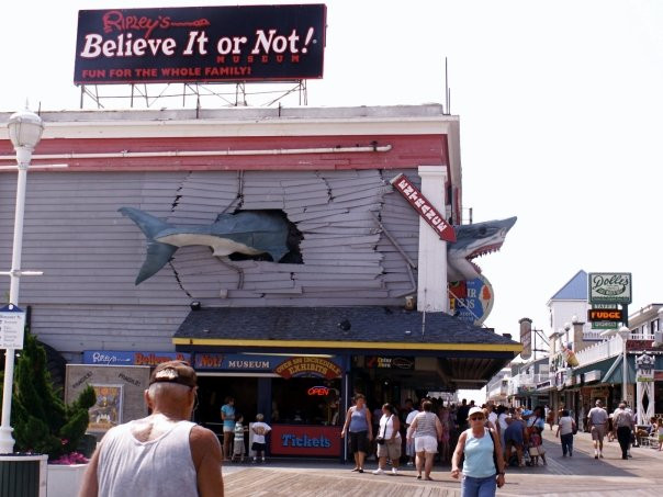 Ripley's Believe it or Not! Ocean City景点图片