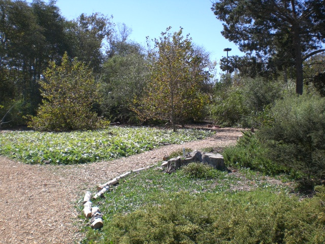 Shipley Nature Center景点图片