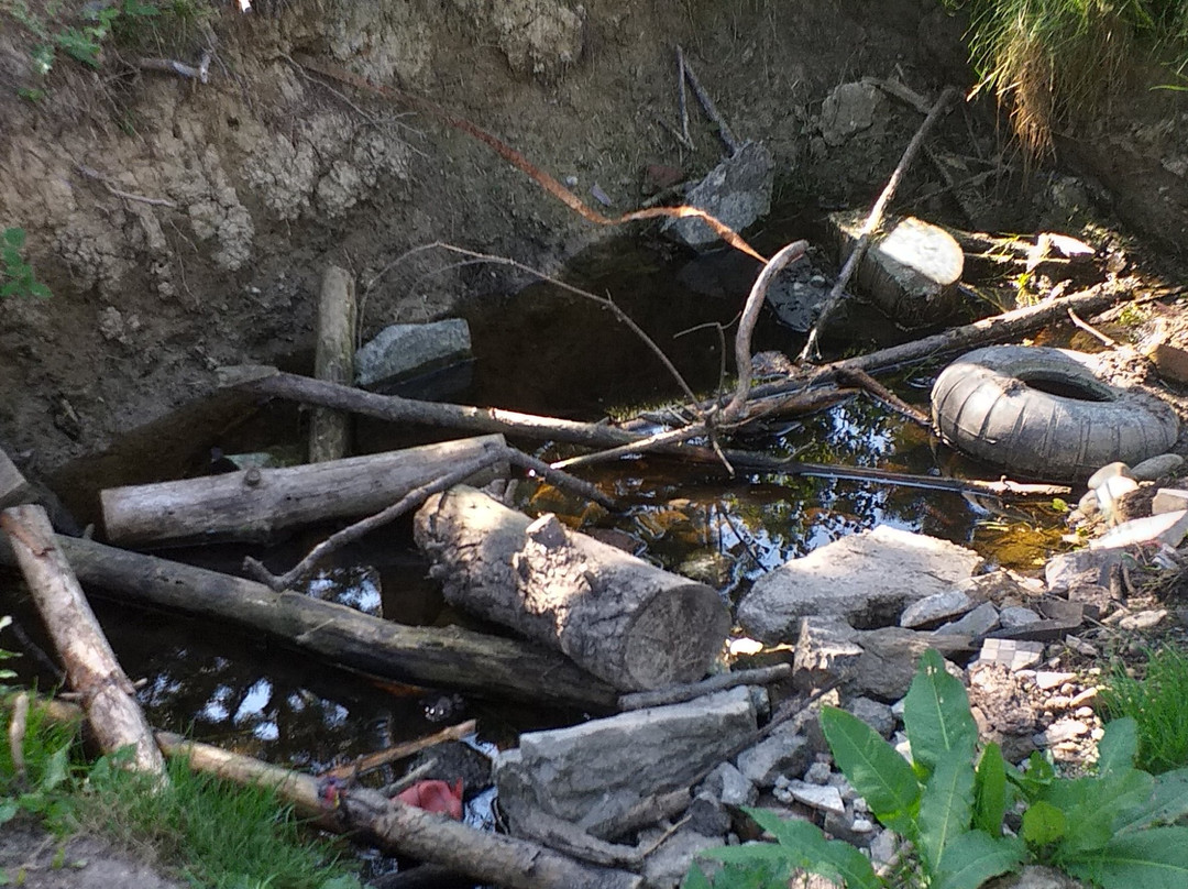 Divčibare Ski Resort-Divcibare必去景点