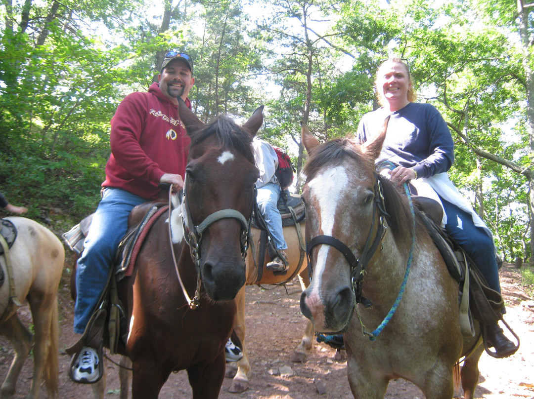 Yokum's Seneca Rocks Stables