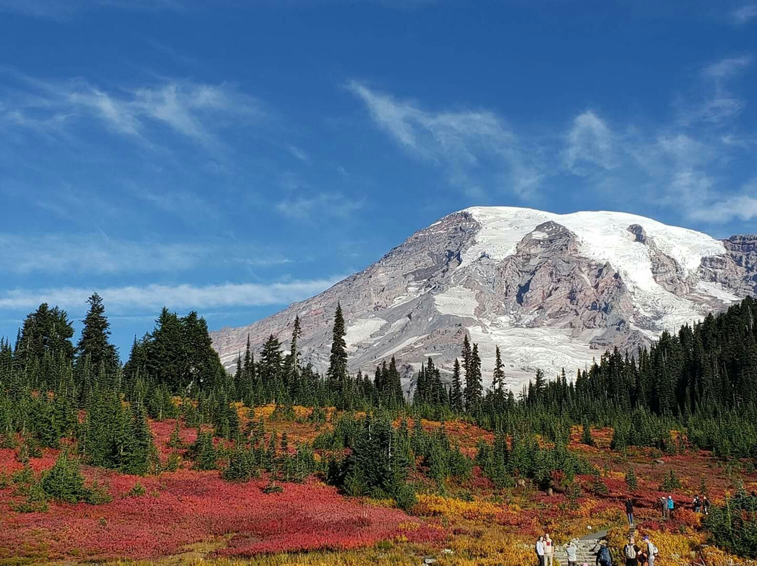 Mount Rainier National Park景点图片