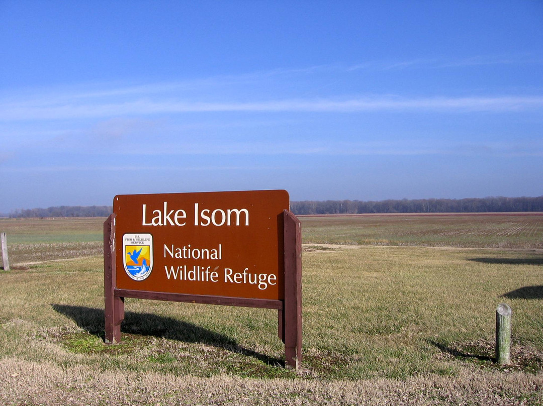 Lake Isom National Wildlife Refuge景点图片