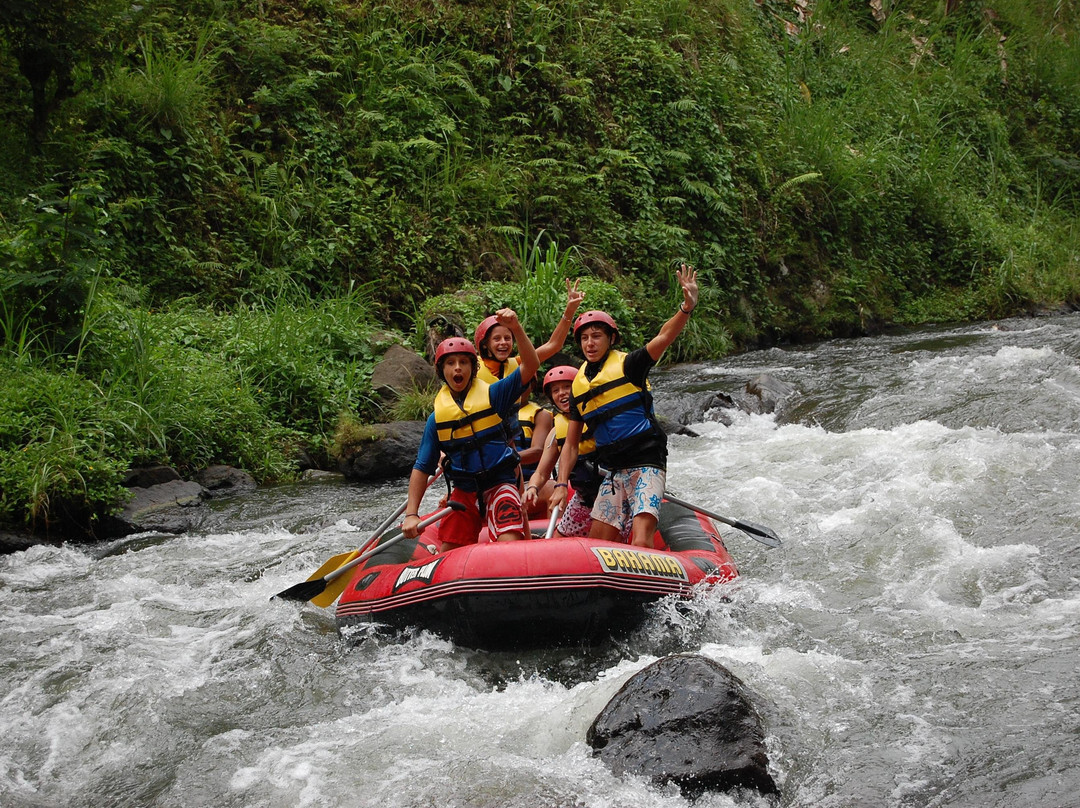 Easy Rafting and Swing Bali-乌布必去景点