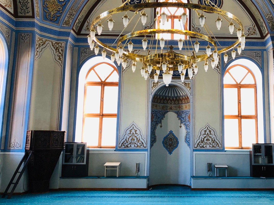 Sogut Museum-比莱吉克必去景点