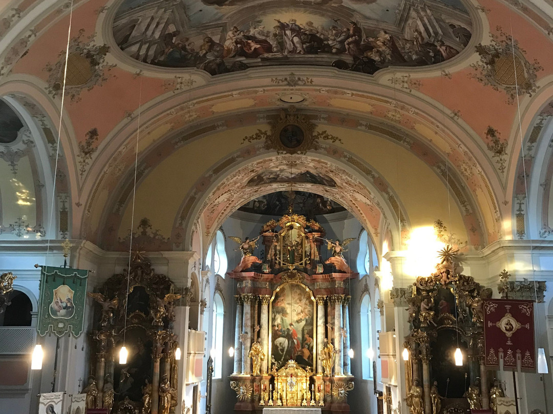 Pfarrkirche St. Martin景点图片