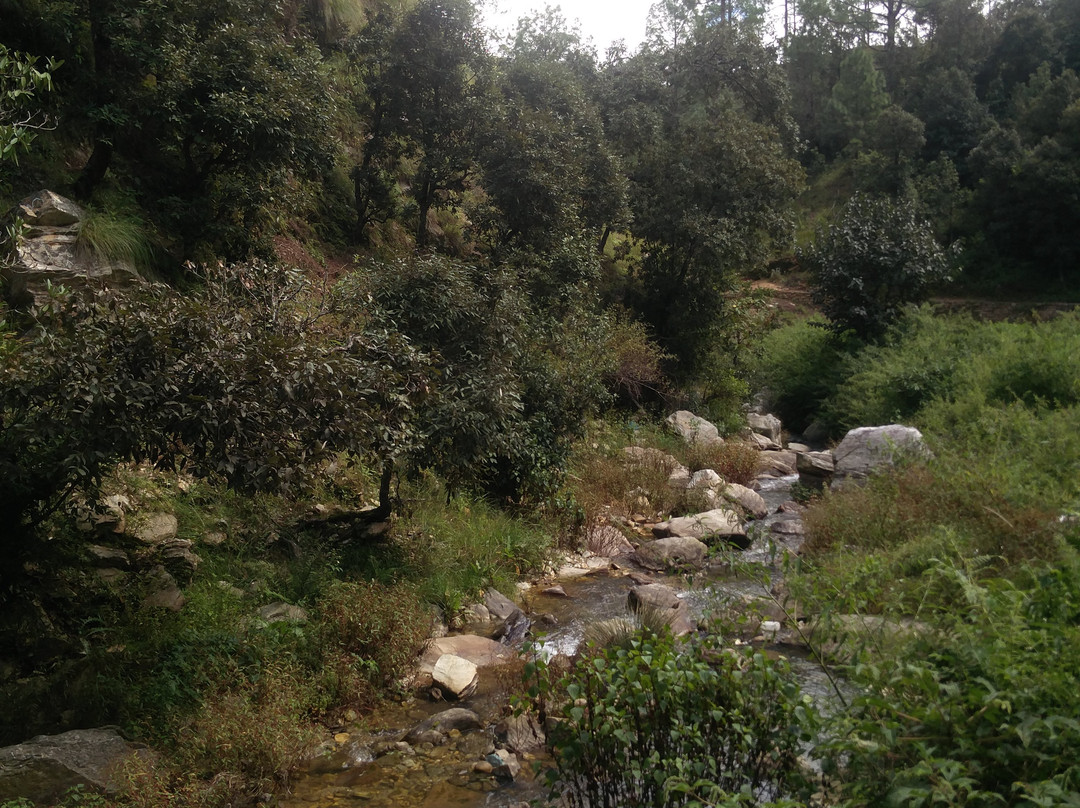 Bhalu Gaad Waterfalls景点图片