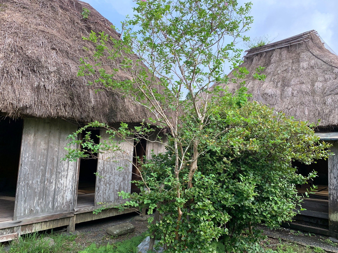 Amami City Amami Museum-奄美市必去景点