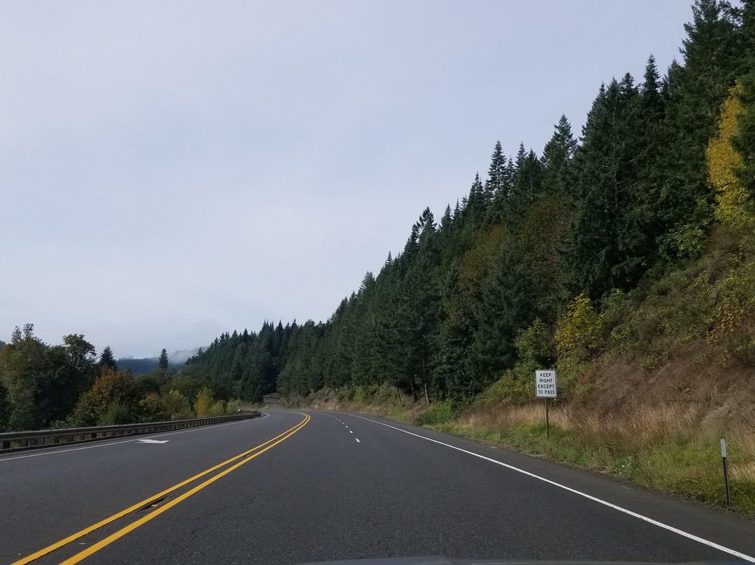 Oregon Route 38景点图片
