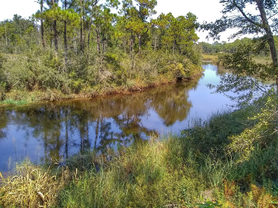Fontainebleau Nature Trail景点图片