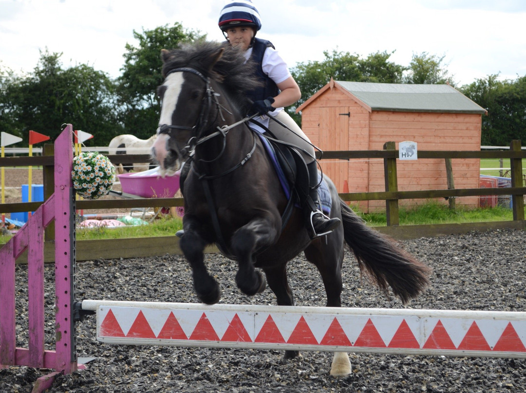 Hill Farm Stables Riding School景点图片