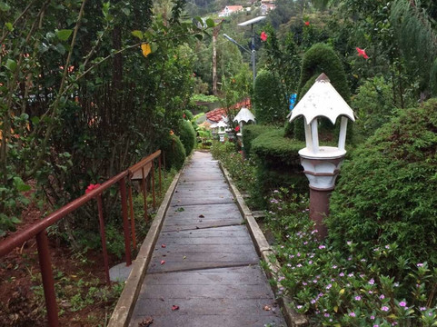 Ayurveda Yoga Retreat主图