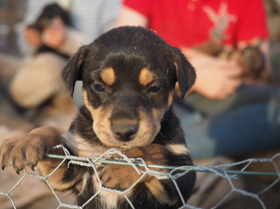 Leconfield-Mulla Creek必去景点