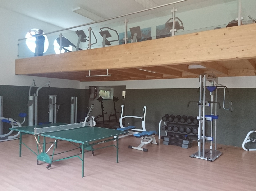 Hotel der Wiesenhof Wellness & Spa景点图片