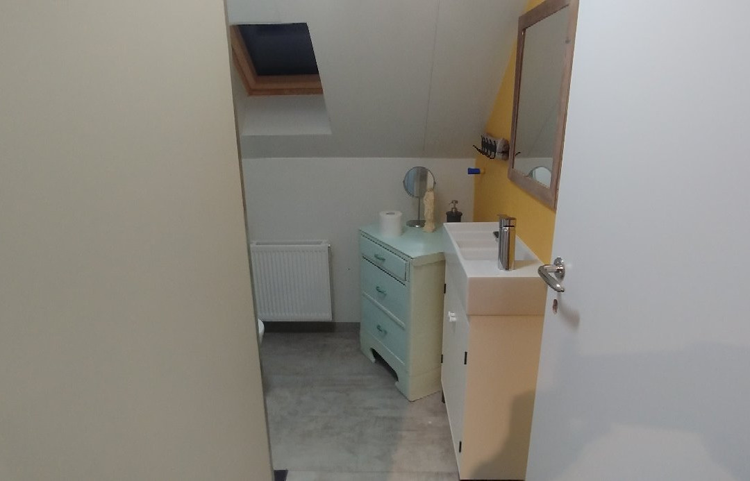 Brunir Horse-阿克雷里必去景点