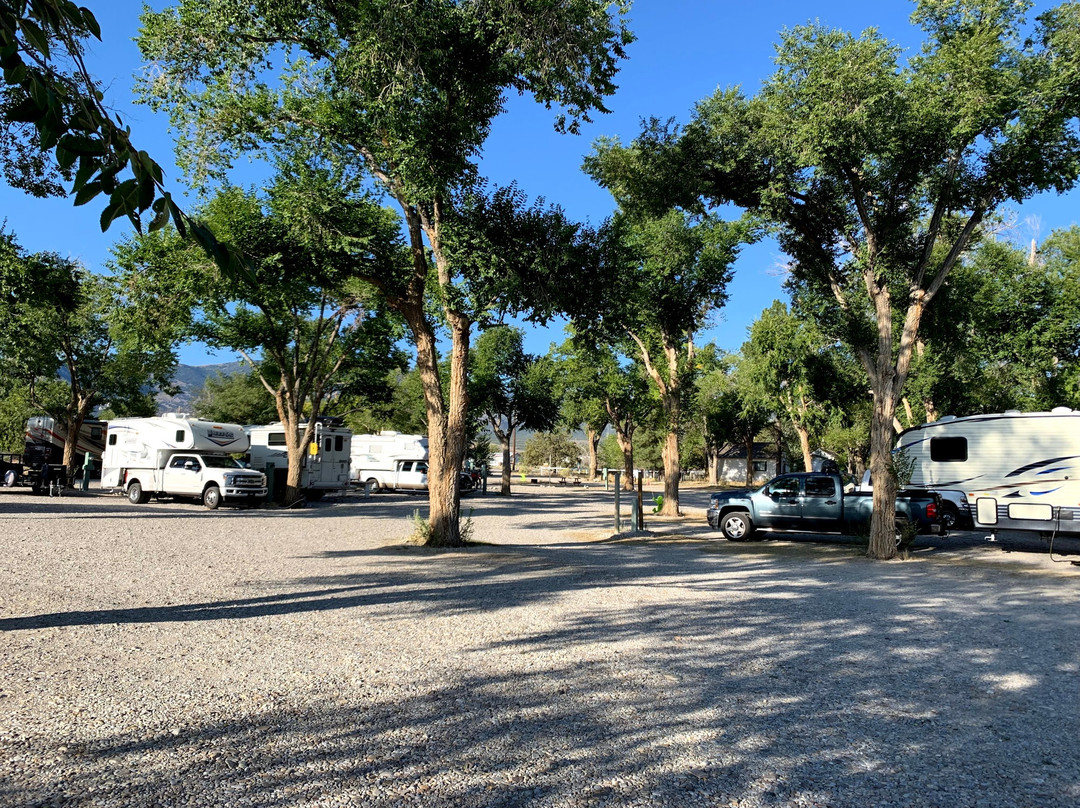 The Whispering Elms Motel主图