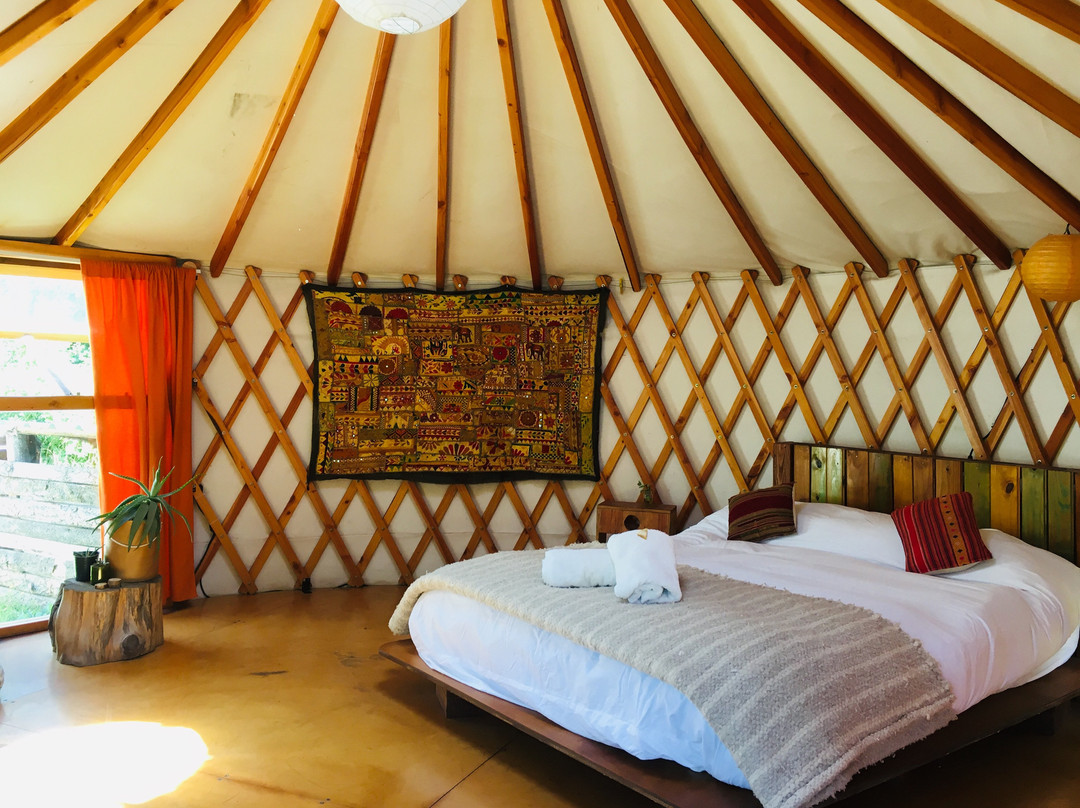 El Bolson酒店住宿-Earthship Patagonia Eco Accommodation