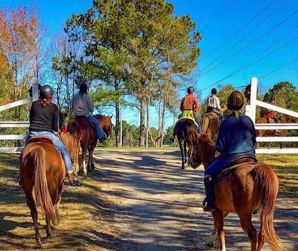 Red Gate Farms Equestrian Center-萨凡纳必去景点