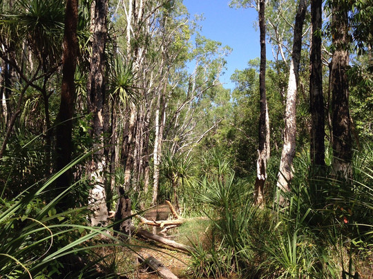 Sacred Earth Safaris-达尔文市必去景点