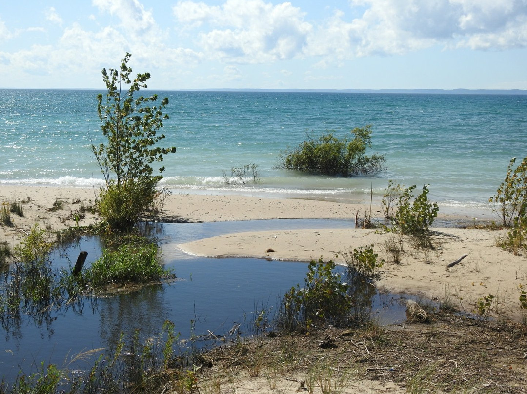 Antrim Creek Natural Area景点图片