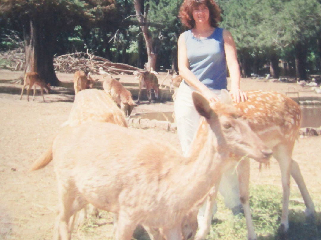 ZOO Lujan景点图片
