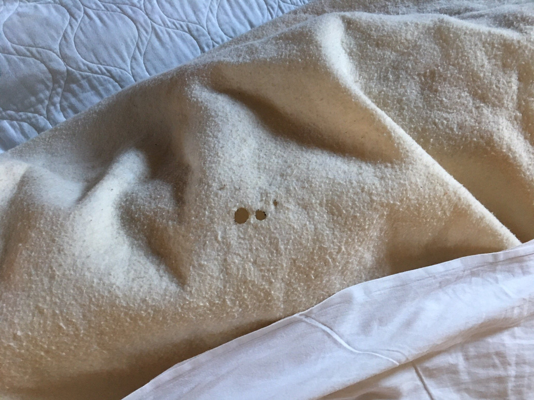 Seven Oakes Motel主图