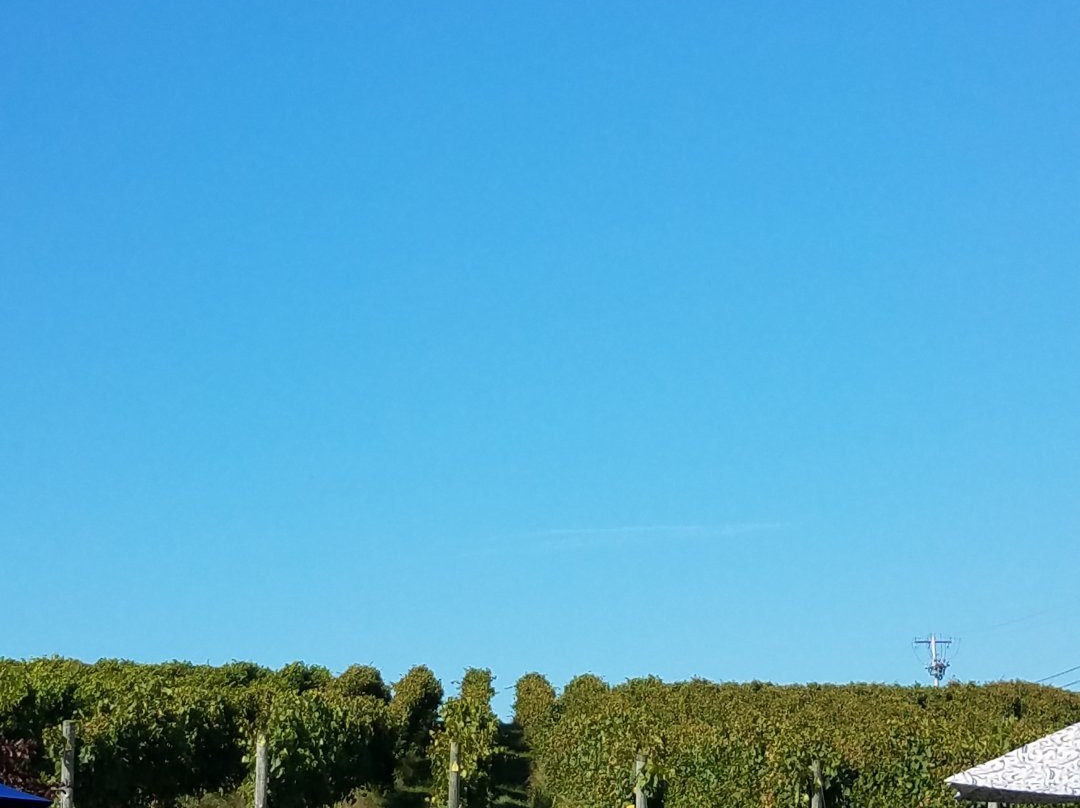 Fero Vineyards and Winery景点图片
