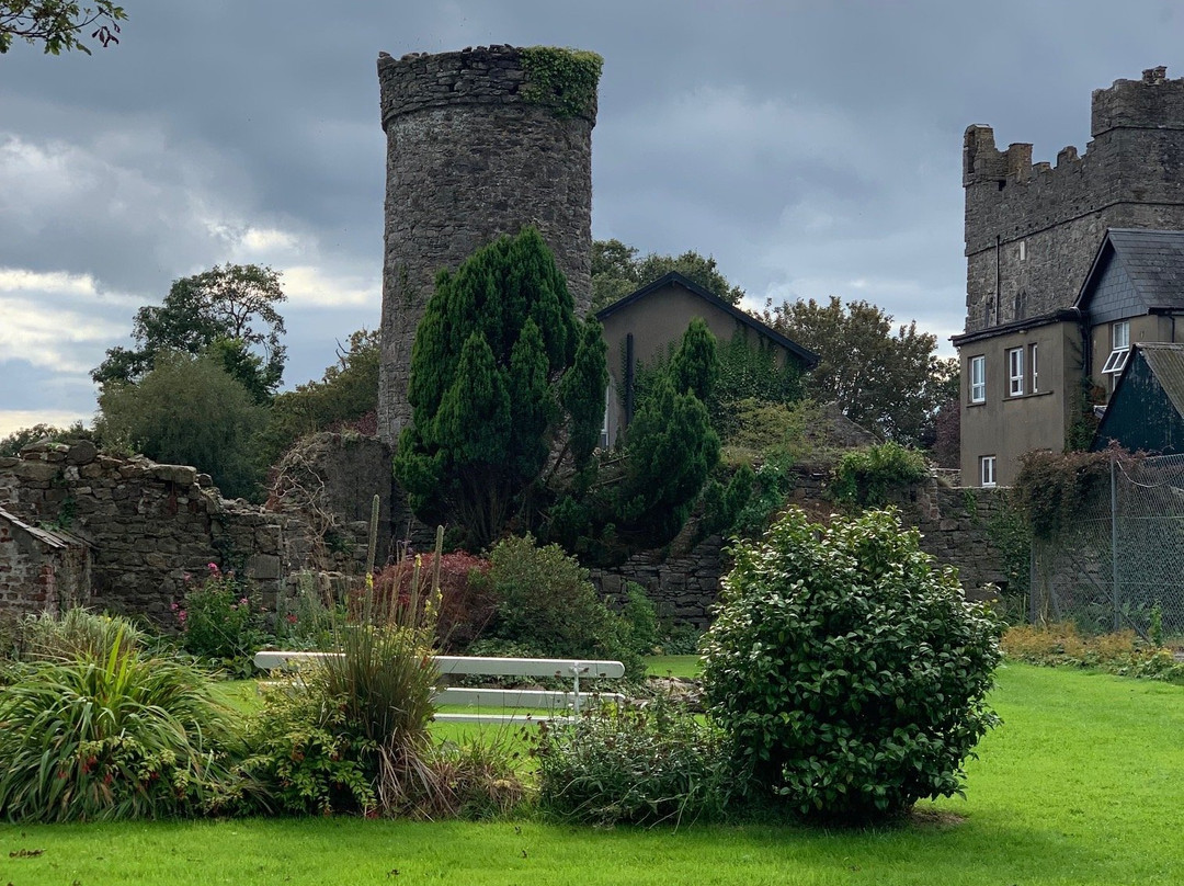 Killiane Castle Country House & Farm主图