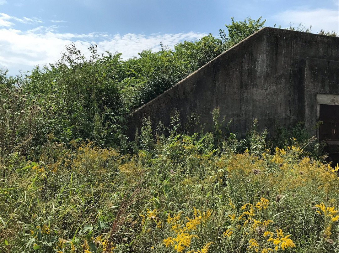 August A. Busch Memorial Conservation Area-圣查尔斯必去景点