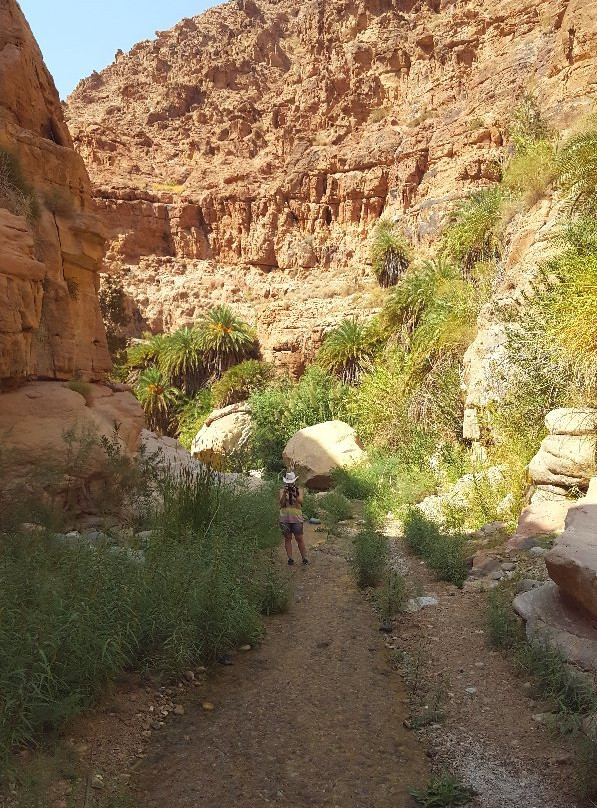 Wadi Ghuweir景点图片