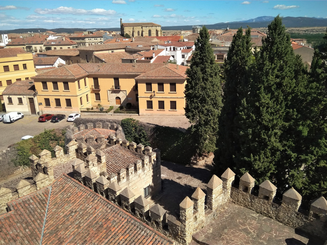 Castillo Alcazar de Enrique II景点图片